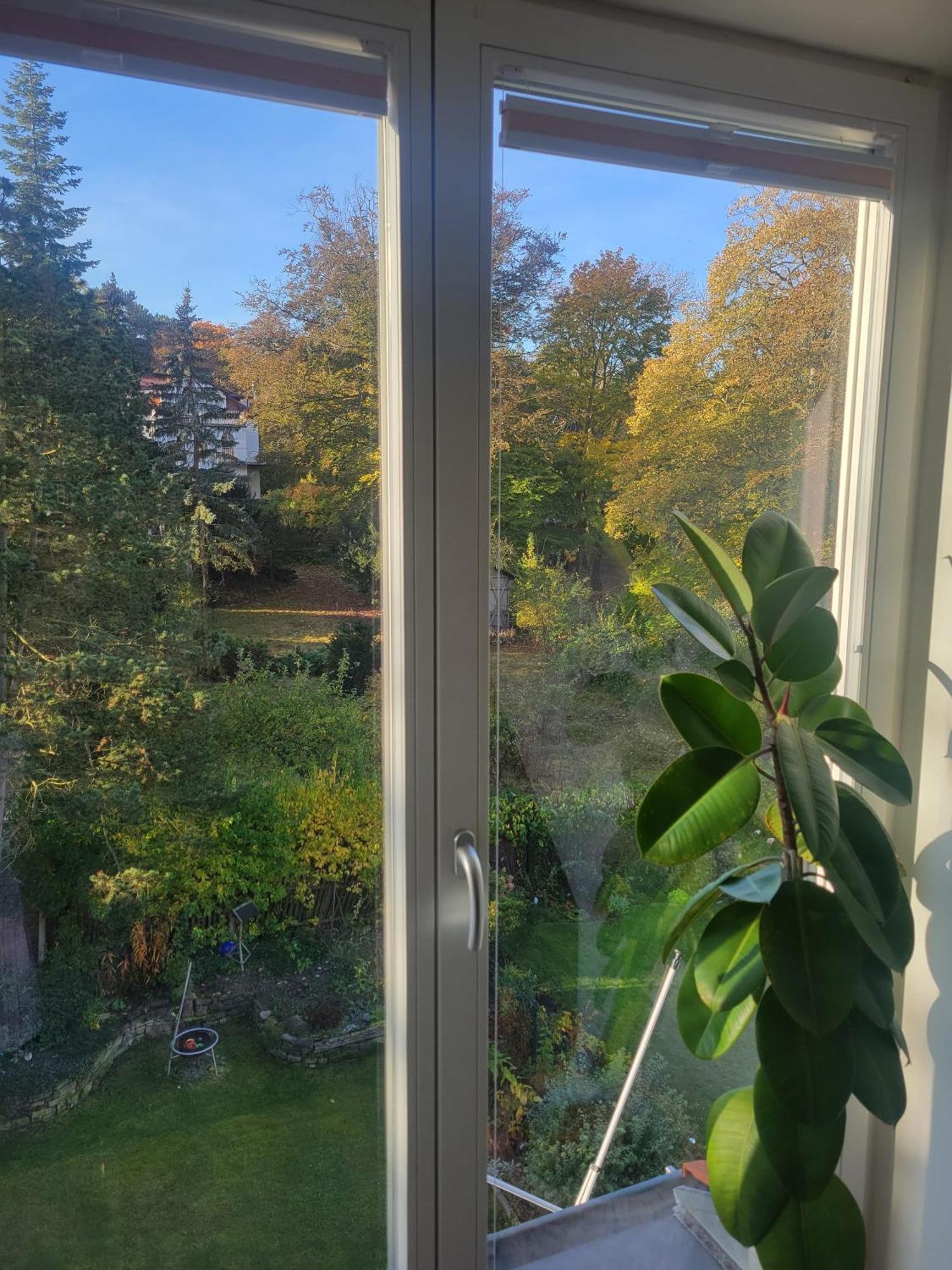 Wohnen Am Steiger In Erfurt Sued Apartment Ngoại thất bức ảnh